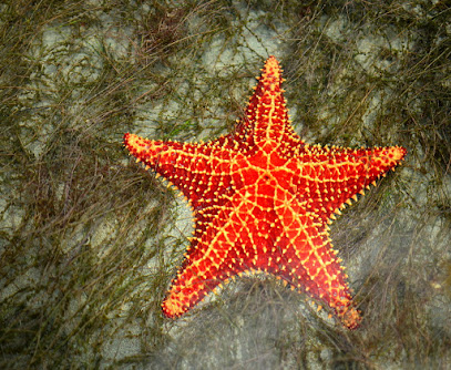 Hello Travel Panama Bajo Boquete