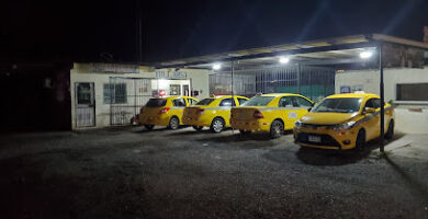 Piquera taxi tullabsa