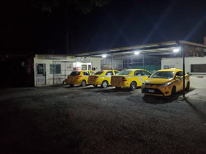 Piquera taxi tullabsa