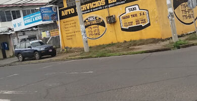 Taxi Serviradio David