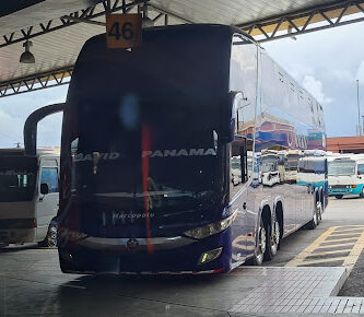 Terminales David Panamá TDP